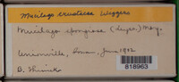 Image Associated With the Occurence